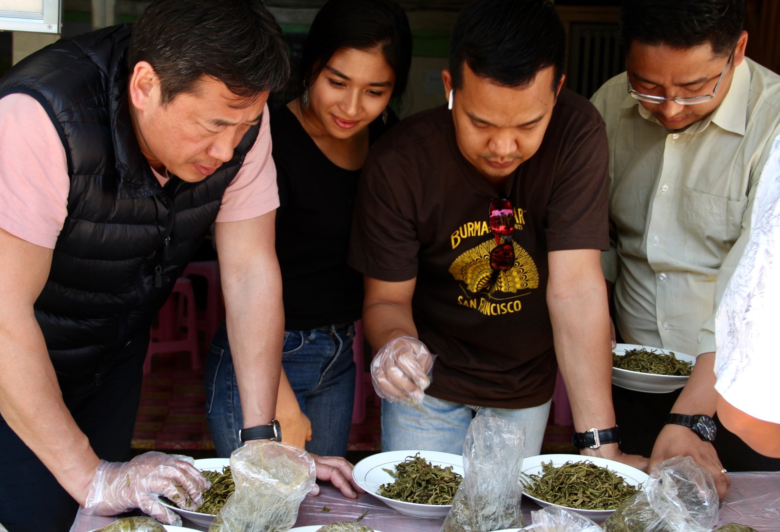 Hand-selecting fermented tea leaves with farmers in Shan State